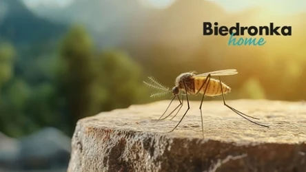 Komary nie mają szans. Sprytne urządzenia z Biedronki teraz dużo taniej!