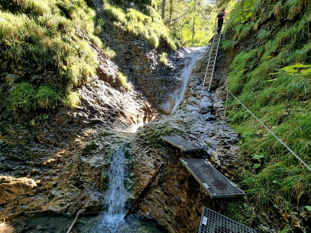 Zaledwie trzy godziny drogi od Krakowa znajduje się park narodowy, którym zachwycają się w sieci Zaledwie trzy godziny drogi od Krakowa znajduje się park narodowy, którym zachwycają się w sieci