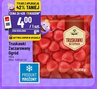 Полуниця Zaczarowany Ogród