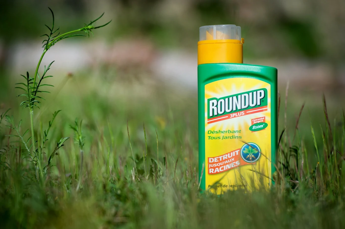 Złożenie wniosku o upadłość mogłoby wstrzymać procesy sądowe wytoczone przeciwko producentowi najpopularniejszego herbicydu na świecie