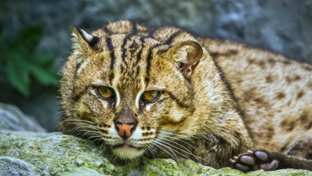 Takich informacji o taraju się nie spodziewałeś 