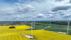 Pierwszy prąd z farmy wiatrowej w Drzeżewie Grupy Polsat Plus i ZE PAK popłynął już do sieci