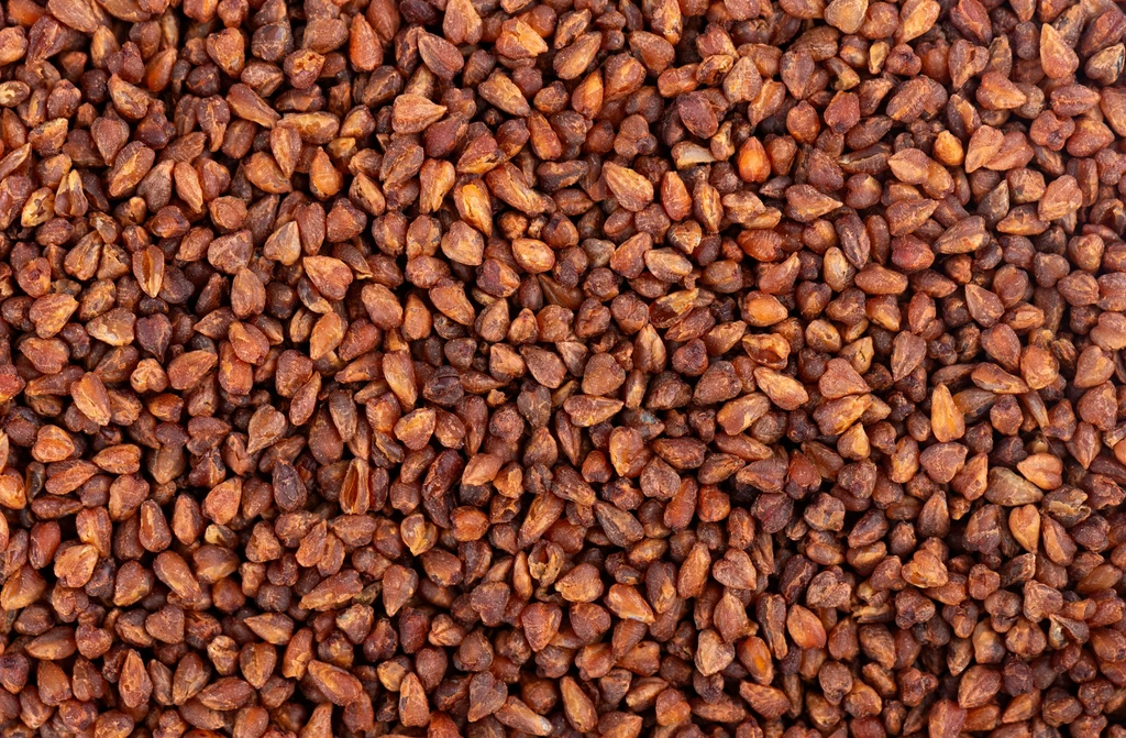 Soba cha, czyli herbata gryczana, to hit z Dalekiego Wschodu Soba cha, czyli herbata gryczana, to hit z Dalekiego Wschodu