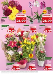 Na Dzień Mamy i Dziecka w Kauflandzie 
