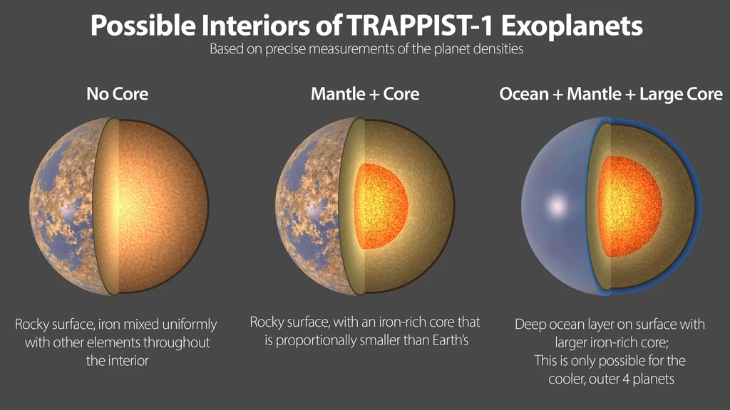 Modele prezentujące potencjalną budowę planet w układzie TRAPPIST-1. Trzy schematy ukazujące możliwe wnętrza egzoplanet TRAPPIST-1. Każdy diagram przedstawia przekrój planety z różnymi strukturami: bez jądra, z jądrem oraz z oceanem, płaszczem i dużym jądrem.