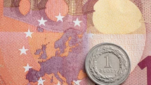 Kursy walut. Ile kosztują euro, dolar i frank?