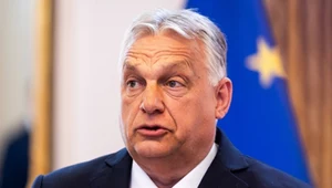 Wsparcie Orbana zaszkodziło Simionowi?