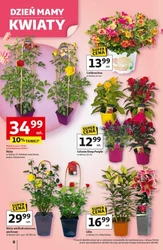 Dzień mamy w Auchan 