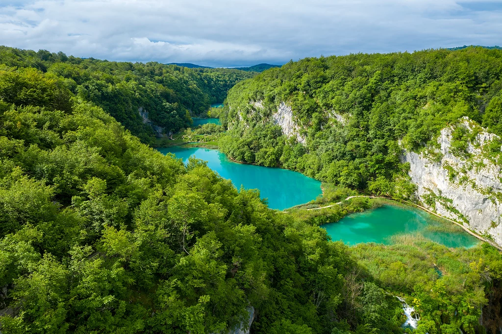 Widok na Park Narodowy Jezior Plitwickich w Chorwacji Jeziora o turkusowej wodzie otoczone bujną zielenią i wysokimi skałami, tworzące malowniczy krajobraz. Przejrzystość wody kontrastuje z intensywną zielenią drzew, tworząc harmonijną scenerię.