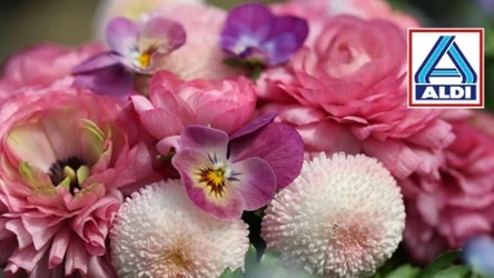 Bukiety, róże, storczyki. Aldi przecenia kwiaty na Dzień Matki!