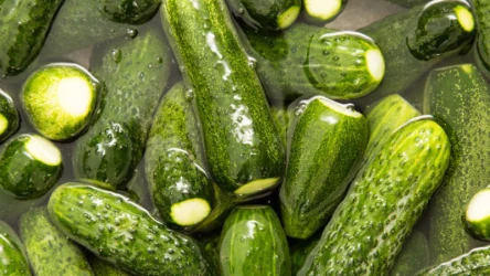 Ogórki małosolne według poniższego przepisu zawsze wychodzą obłędnie smaczne. Zrób je, a sam zobaczysz