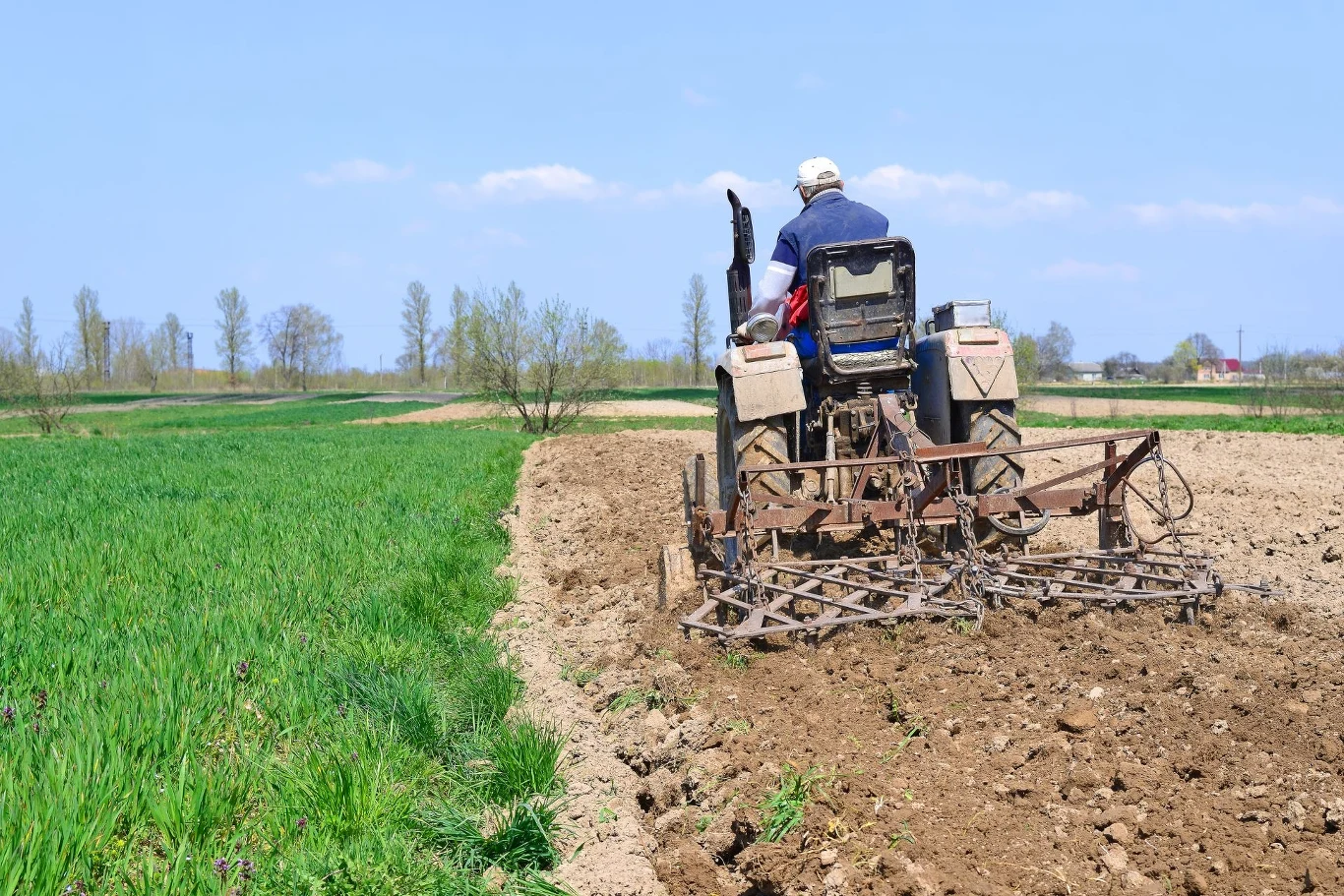 Policjanci mogą skontrolować trzeźwość rolnika na polu. Rolnik na ciągniku orze pole w słoneczny dzień. Po lewej stronie widoczna jest część zielonego pola, z kolei prawa strona to już zaorany grunt. W tle widać drzewa i niebo pokryte lekkimi chmurami.
