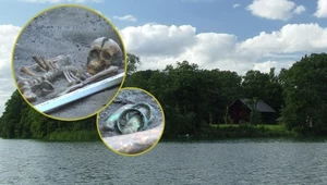 Skarb, którego nie powinno tam być. Nowe odkrycie pod Poznaniem