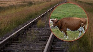 PKP grozi palcem rolnikom. Posypią się pozwy sądowe