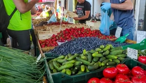 Pestycydy tracą skuteczność. Ekspert: Ceny warzyw będą rosły