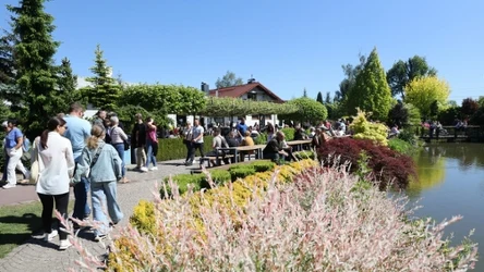 Goczałkowice-Zdrój to uzdrowisko, które oferuje wyjątkowe walory lecznicze, atrakcje, niepowtarzalną atmosferę, a także ciekawe wydarzenia kulturalne.