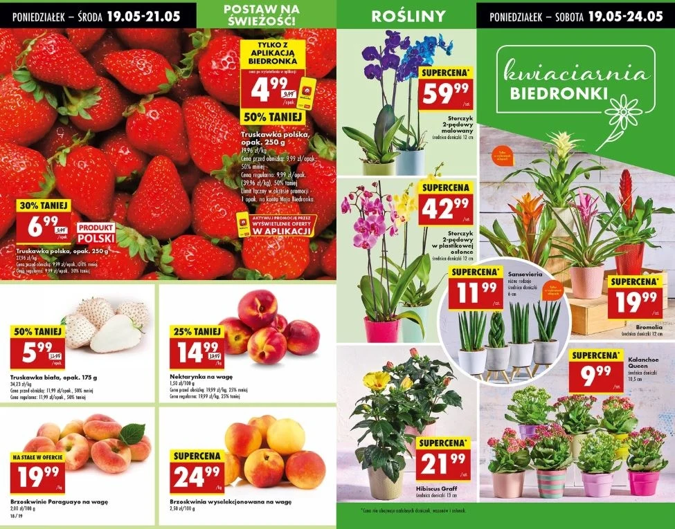 Biedronka oferuje kwiaty doniczkowe na Dzień Matki! Biedronka oferuje kwiaty doniczkowe na Dzień Matki!