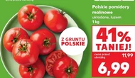 Помідори