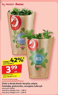 Mięta Auchan