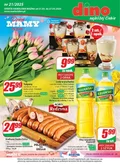 Świętuj Dzień Mamy z nami – Dino