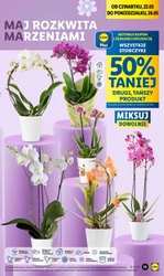 Na Dzień Mamy w Lidlu 