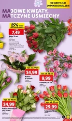 До Дня матері в Lidl 