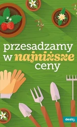 Dzień Dziecka w Dealz 