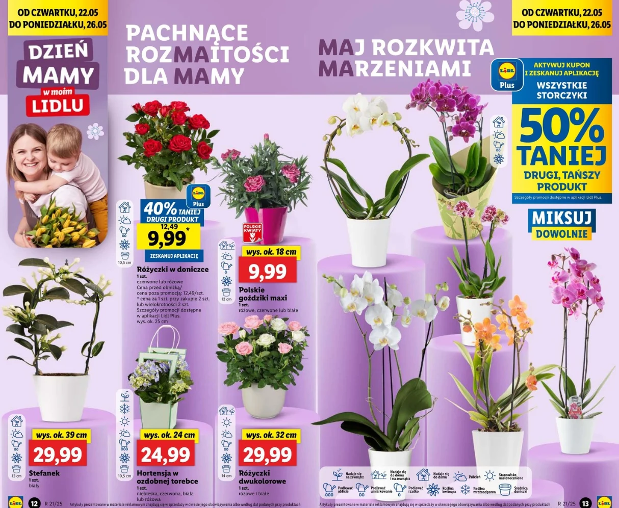 Przepiękne kwiaty i bukiety na Dzień Matki w Lidlu! Zobacz, co kupisz w promocji