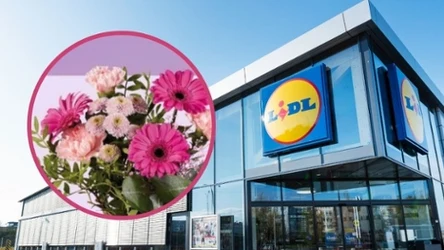 Wyjątkowe kwiaty na Dzień Matki tylko w Lidlu! Sprawdź specjalne promocje