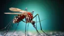 Chikungunya u bram Europy. Tropikalny wirus zagraża już 29 krajom