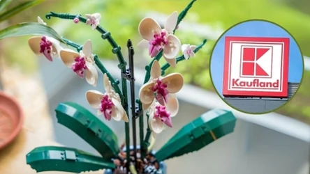 Zamiast kwiaciarni – regał z klockami LEGO. Tak wygląda prezent idealny w 2025 roku