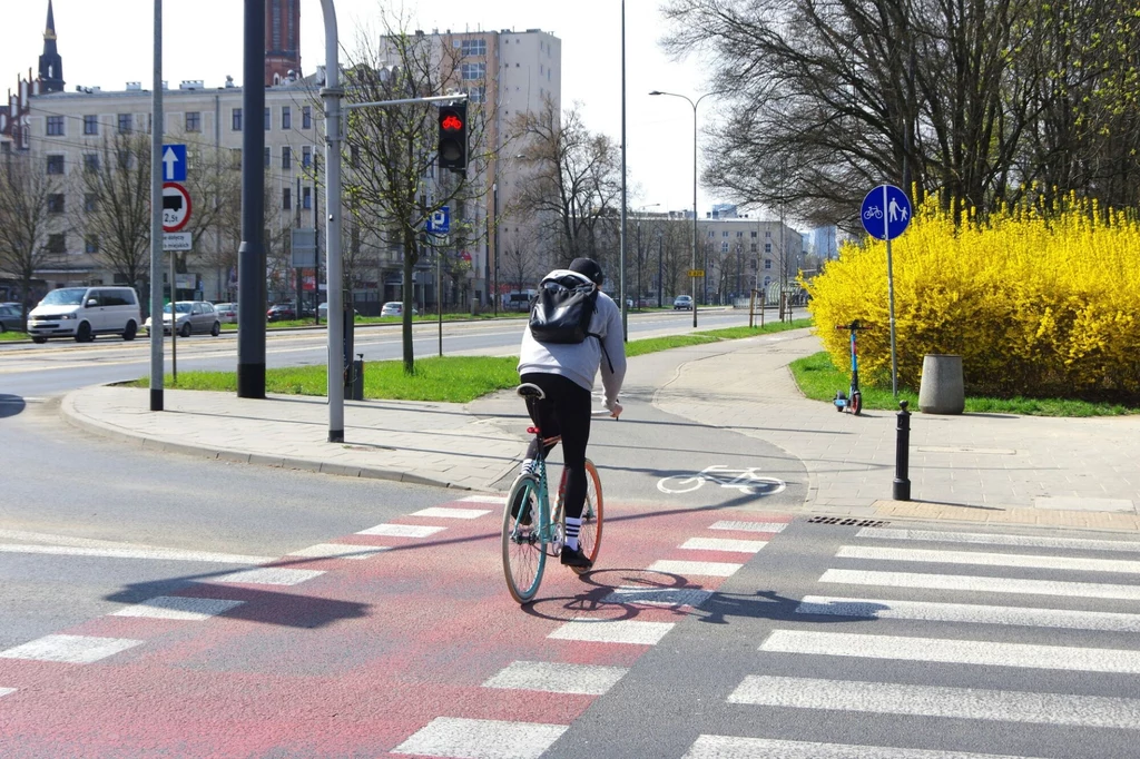 Kto ma pierwszeństwo na przejeździe dla rowerów? Rowerzysta jedzie przez ścieżkę rowerową na tle miejskiego krajobrazu, w otoczeniu żółtych krzewów, sygnalizacji świetlnej oraz miejskich budynków.