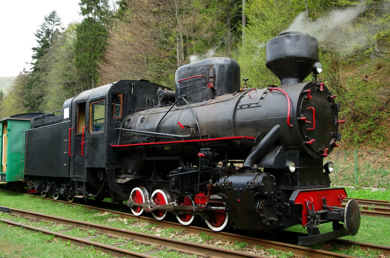 Średzka Kolej Powiatowa to niezwykła atrakcja, nie tylko dla fanów zabytkowej kolei Czarny parowóz z czerwonymi detalami stojący na torach kolejowych pośród zielonego, zalesionego krajobrazu, z dymem wydobywającym się z komina, obok przymocowanego zielonego wagonu.