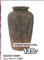Wazon
