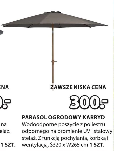 Садова парасолька