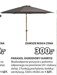Садова парасолька