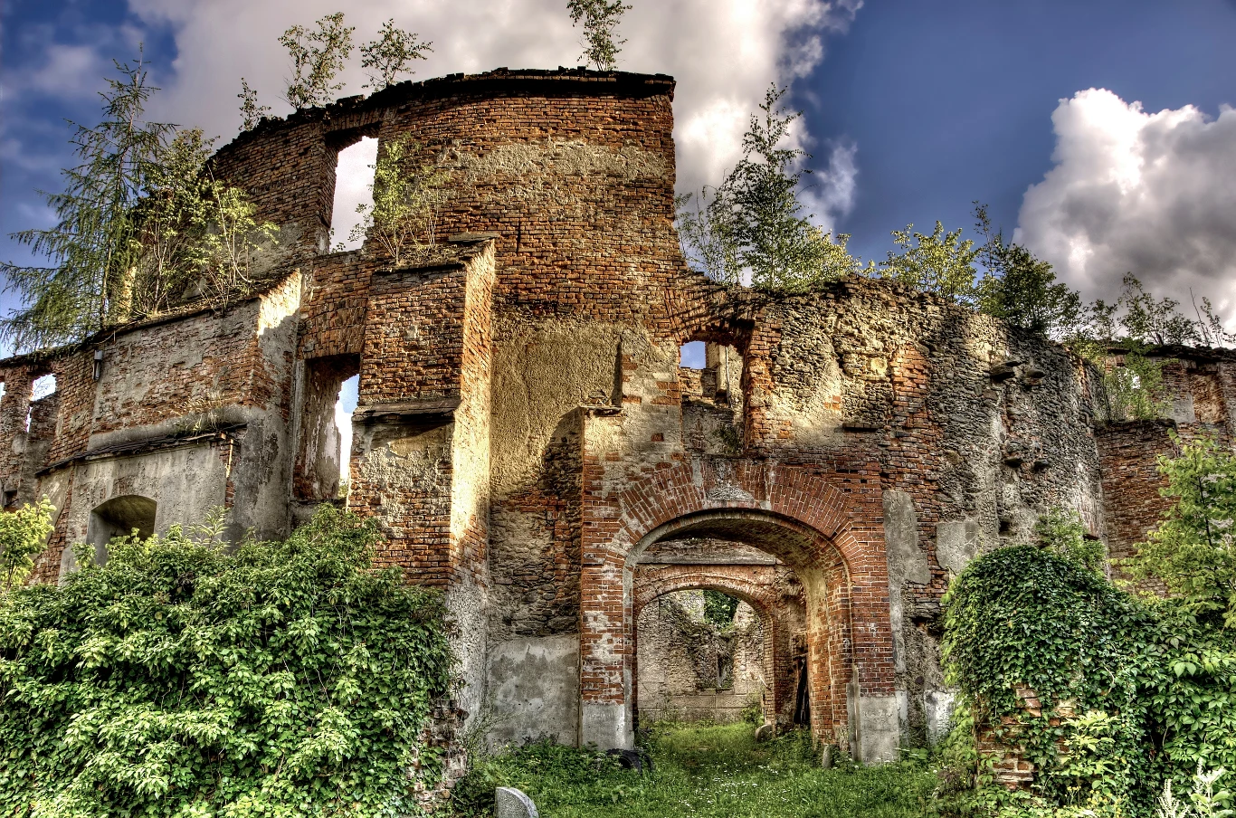 Ruiny zamku w woj. dolnośląskim to prawdziwy unikat w skali Polski. Warto zobaczyć ten zabytek, zanim całkiem zniknie. Ruiny zabytkowego, ceglanego budynku porośnięte zielenią i drzewami wewnątrz oraz na szczycie murów, z niebem pełnym chmur w tle.