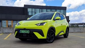BYD Dolphin Surf to elektryk w cenie Dacii. Nowe auto za 43 tys. zł