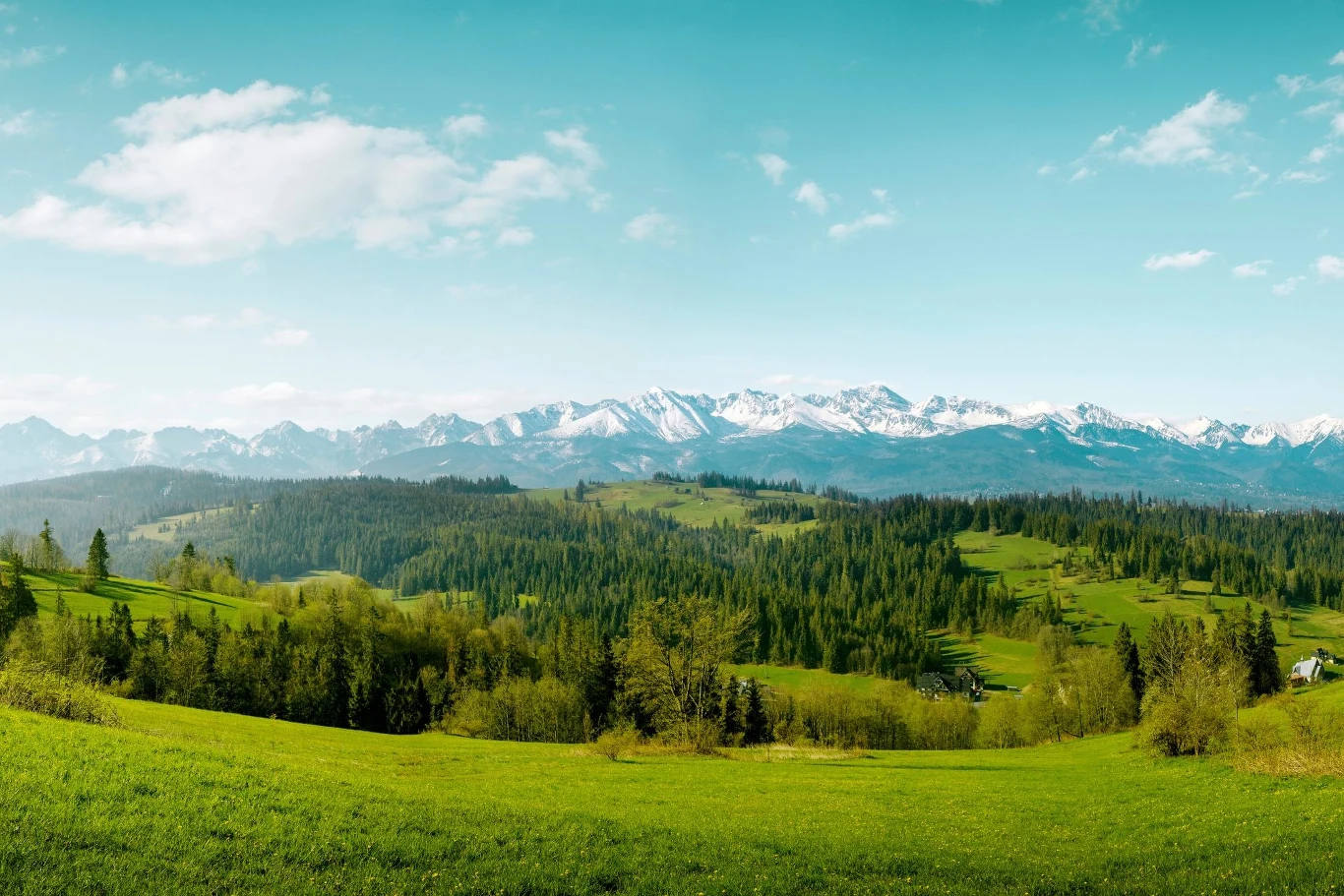 Panorama zielonych łąk i lasów z ośnieżonymi szczytami górskimi w tle, pod błękitnym niebem z lekkim zachmurzeniem.