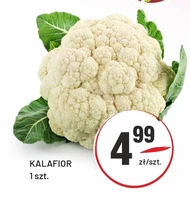 Kalafior
