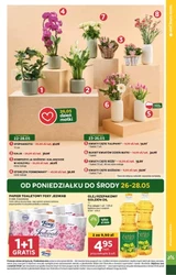 Dla Mamy w Stokrotce Market 
