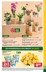 Grecja w Stokrotce market 