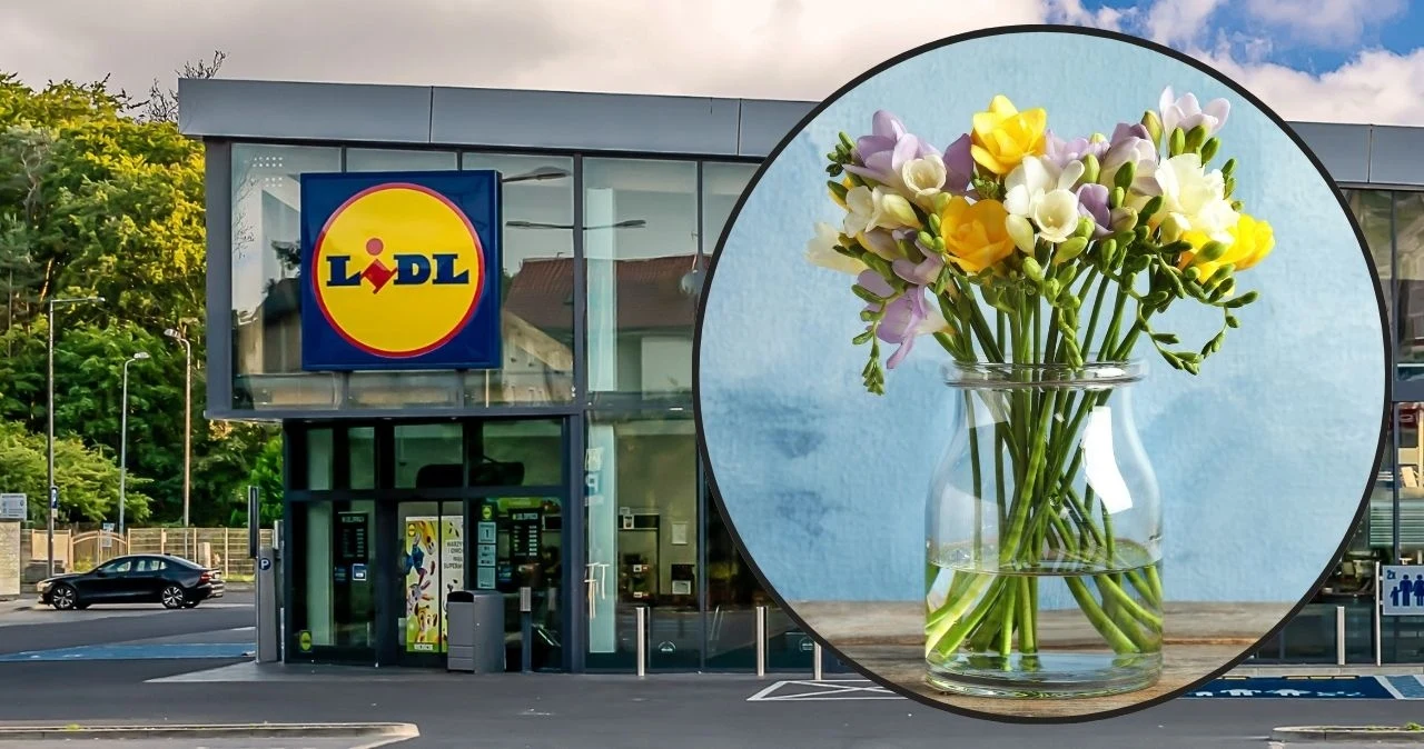 Przepiękny wazon i bukiety w ofercie Lidla Przepiękny wazon i bukiety w ofercie Lidla
