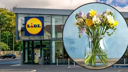 Przepiękny wazon i bukiety w ofercie Lidla 