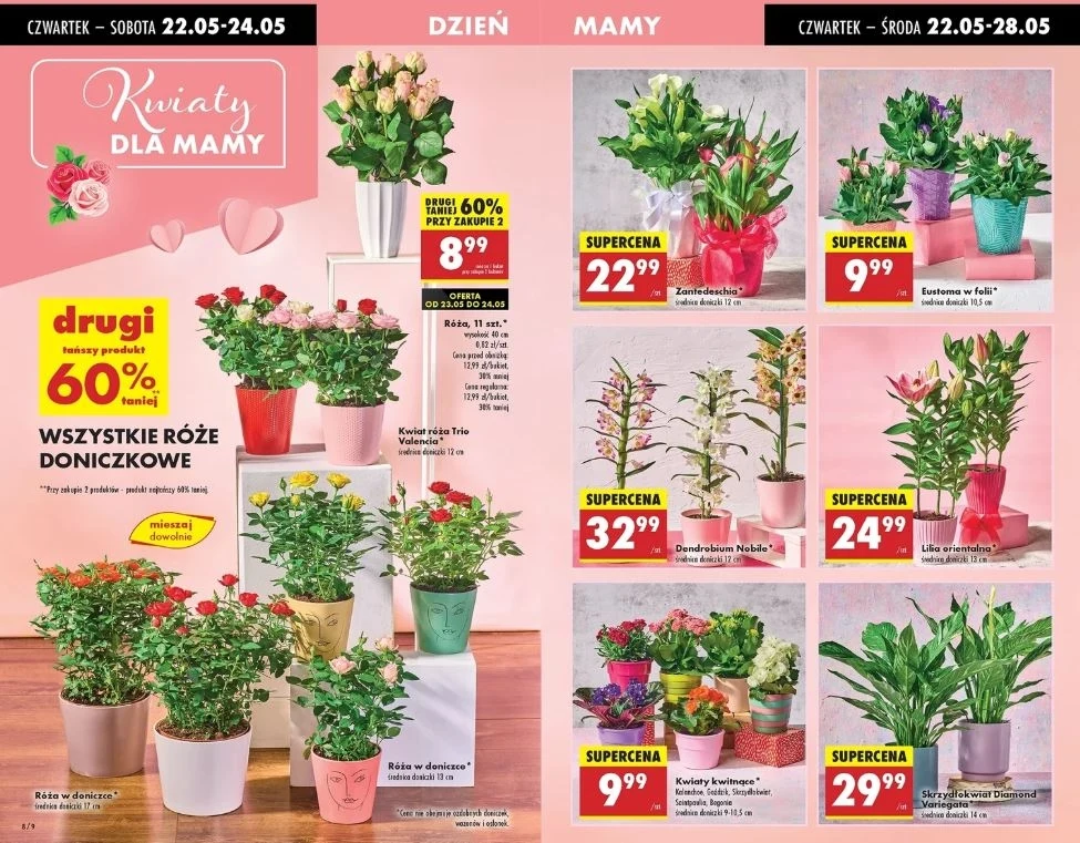 Biedronka oferuje rośliny doniczkowe na Dzień Matki!