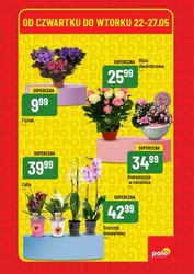Super weekend pełen hitów! - Polomarket