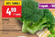 Brokuł