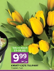 Букет тюльпанів Tulipany