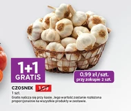 Czosnek