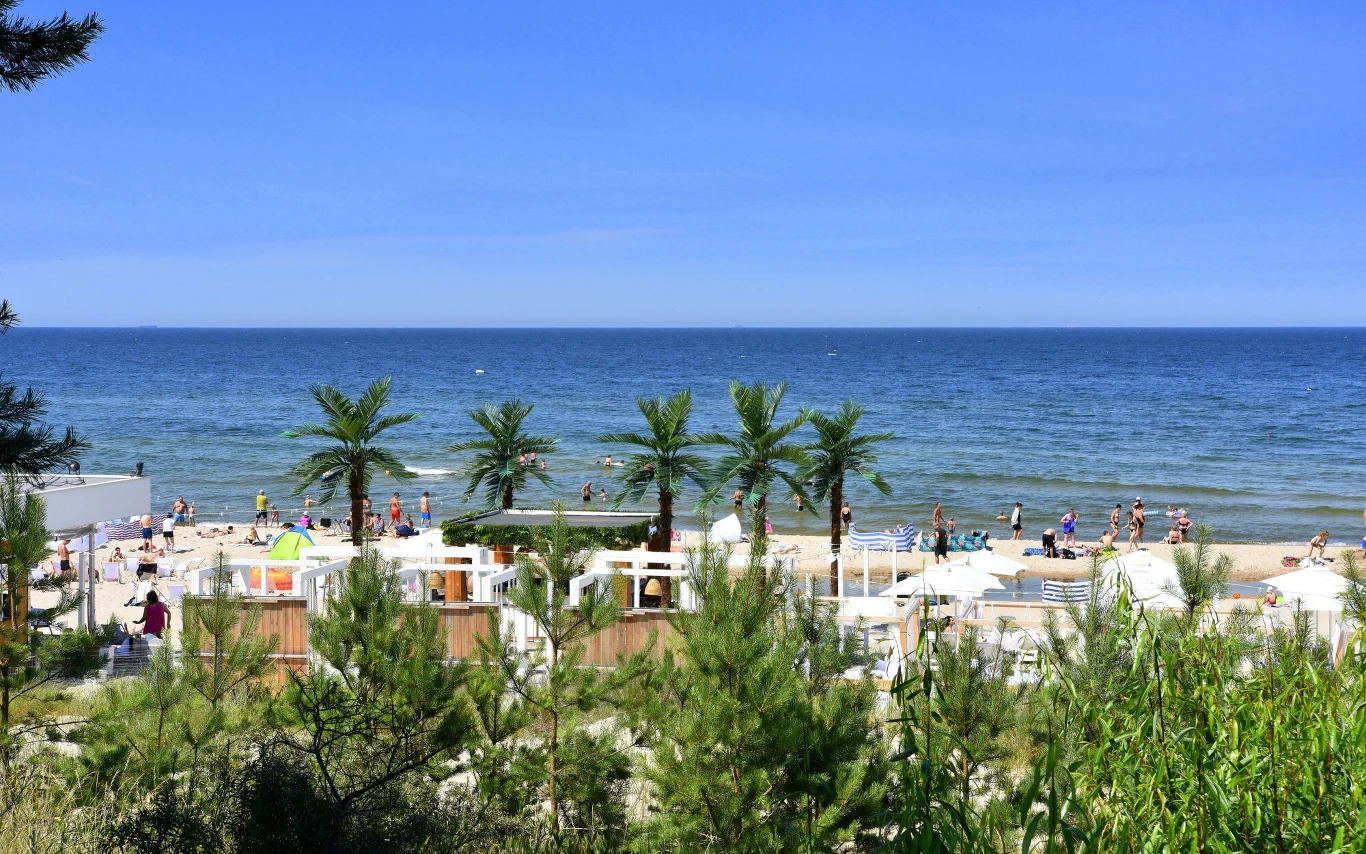Piaszczysta plaża nad morzem z rzędem sztucznych palm, ludzie wypoczywający na leżakach oraz kąpiący się w wodzie, błękitne niebo bez chmur, zieleń w pierwszym planie.